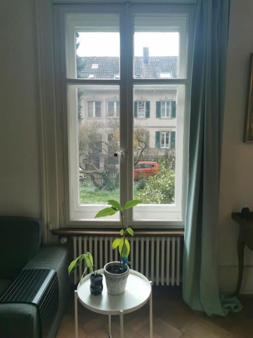 Beautiful Central Apartment Bern Buitenkant foto
