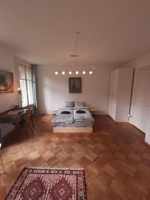 Beautiful Central Apartment Bern Buitenkant foto